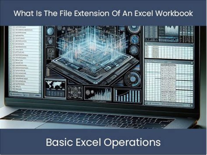 How to get the file extension of the open workbook