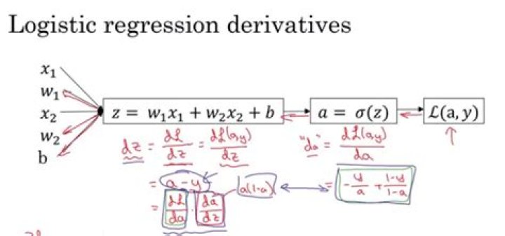 How to get the loss function derivative