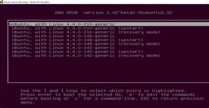 How to get to Grub menu on 20.04?