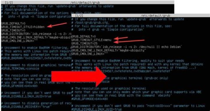 How to get to the GRUB menu at boot-time?