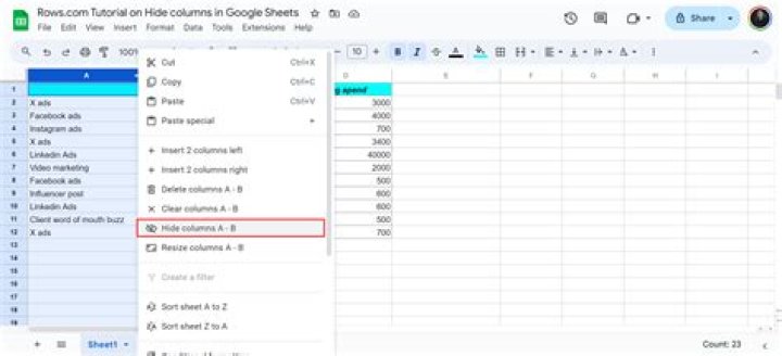 How to hide columns in HTML table?