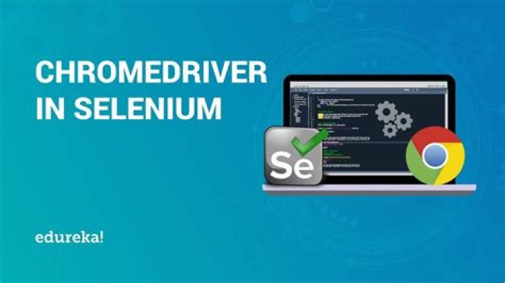 How to implement chromedriver in selenium in Linux platform