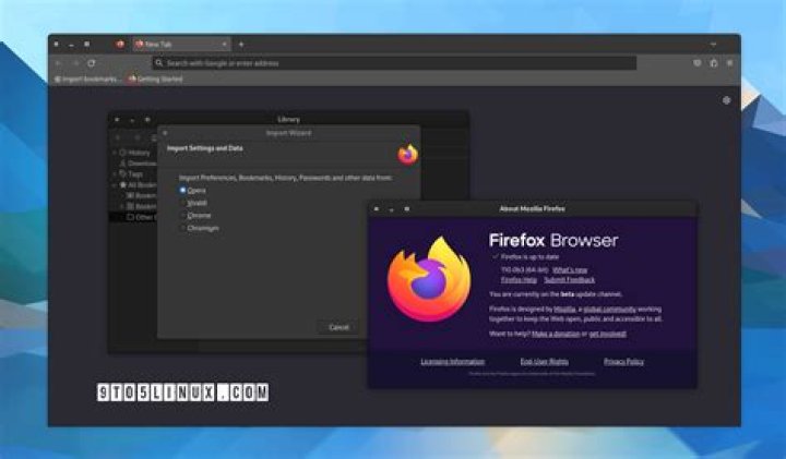 How to import Firefox data on Opera Snap?