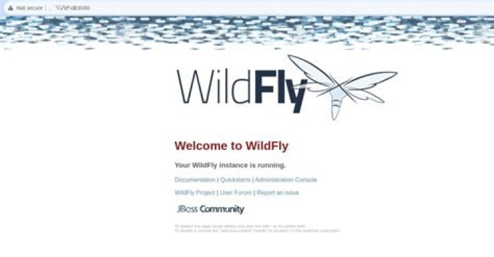 How to increase the max connections, streams and threads in Wildfly?