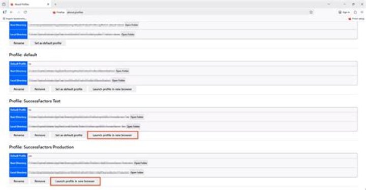 How to launch different firefox profiles via the keyboard using Unity