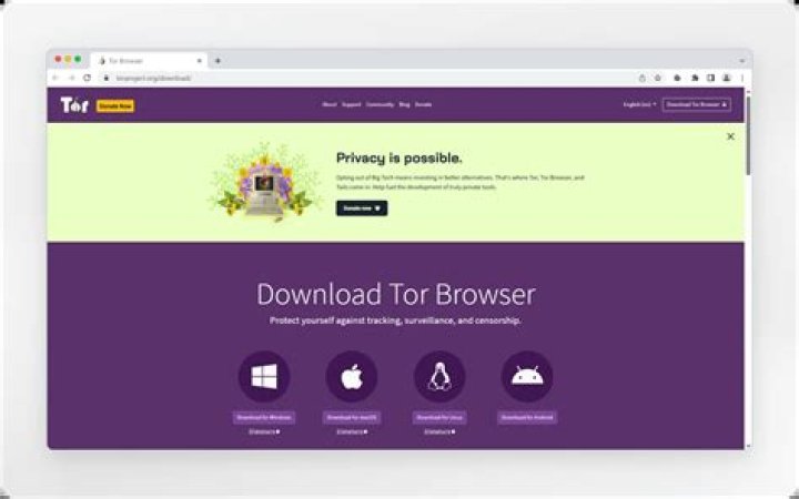 How to launch the Tor browser?