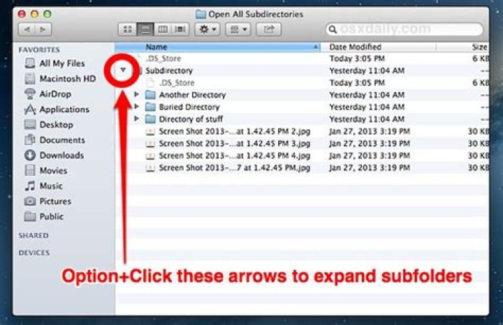 How to list all subdirectories in a directory