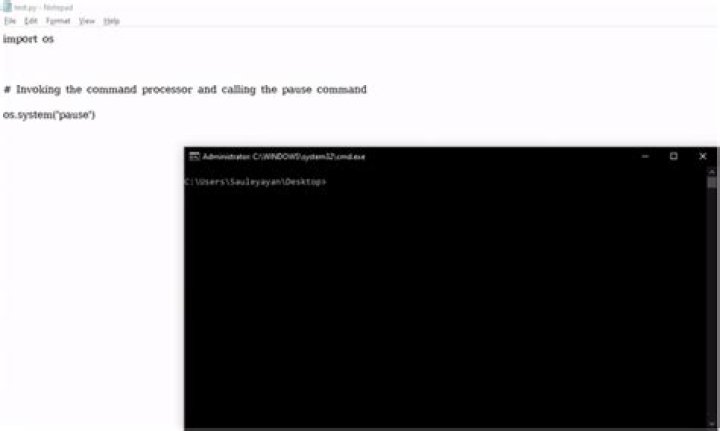 How to make a python script wait for a pressed key?