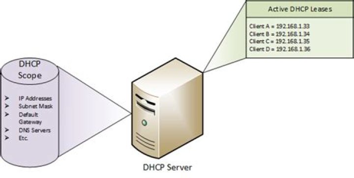 How to make dhclient forget its last DHCP lease?