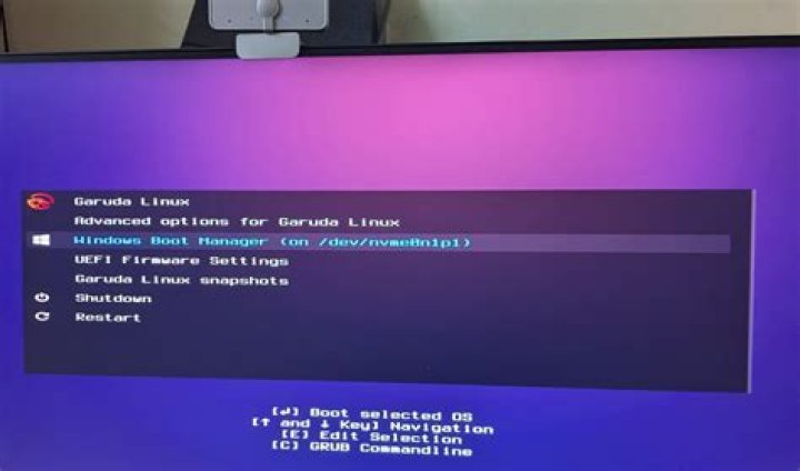 How to make grub menu appear instead of booting directly to windows 10