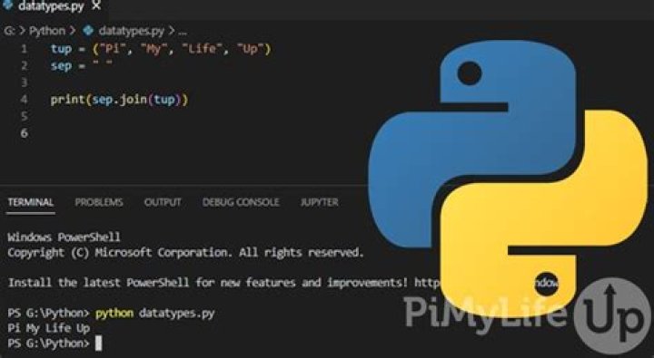 How to manually stop a Python script that runs continuously on linux