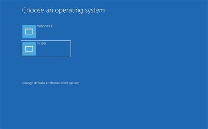 How to partition to dual boot alongside Windows 8 installed on a 128GB SSD?