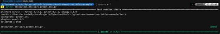 How to pass environment variables to pytest