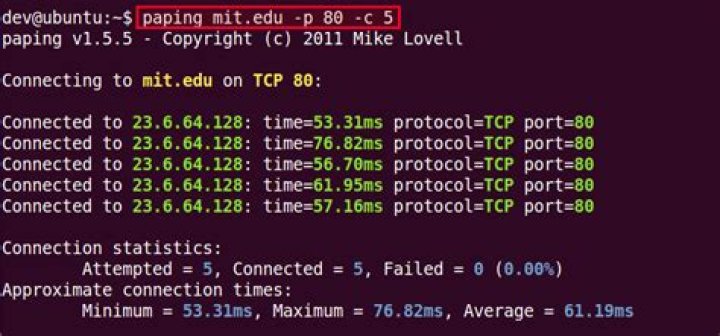 How to ping a specific port