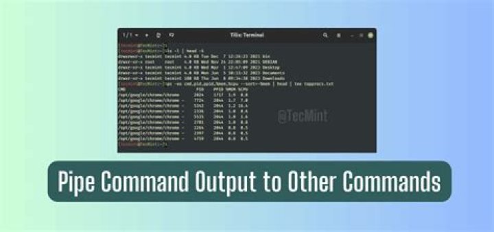 How to pipe command output to other commands?