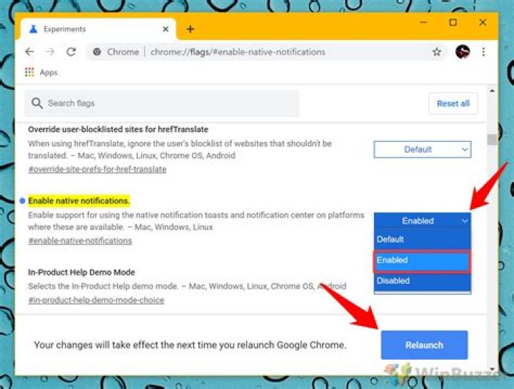 How to prevent Google Chrome 