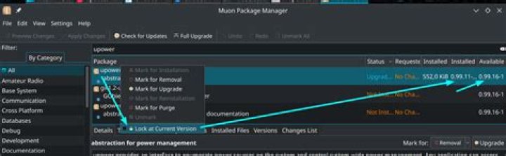 How to prevent updating of a specific package?