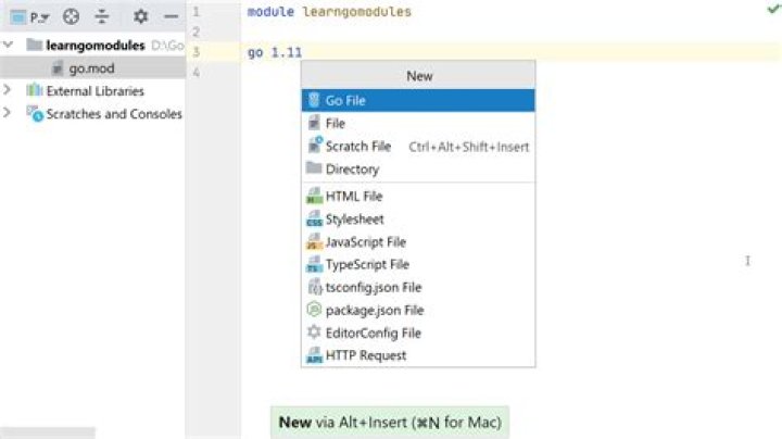 How to print the licenses used in my project using Go Modules?