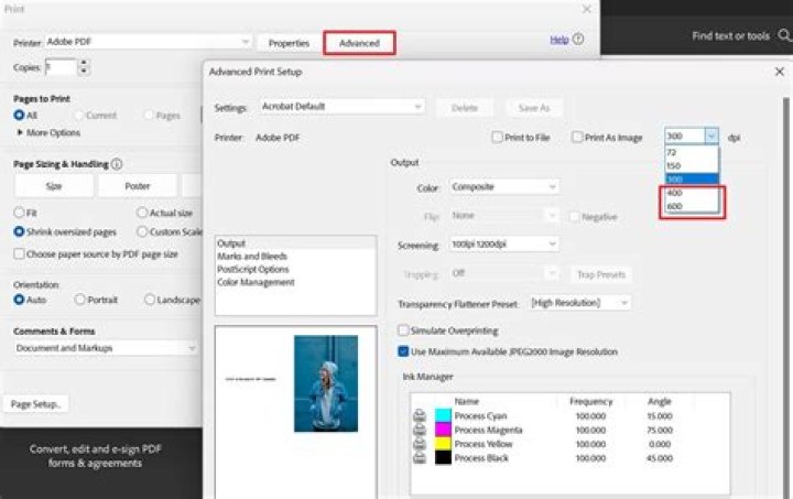 How to programmatically determine DPI of images in PDF file?