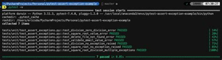 How to properly assert that an exception gets raised in pytest?