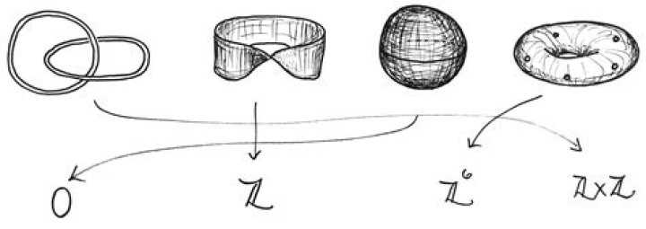 How to prove that homology is a functor?