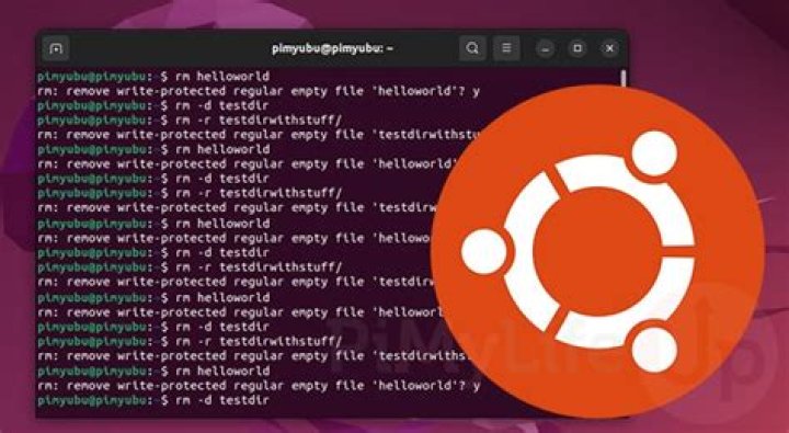 How to remove directories that have numbers as file names in Ubuntu using command line?