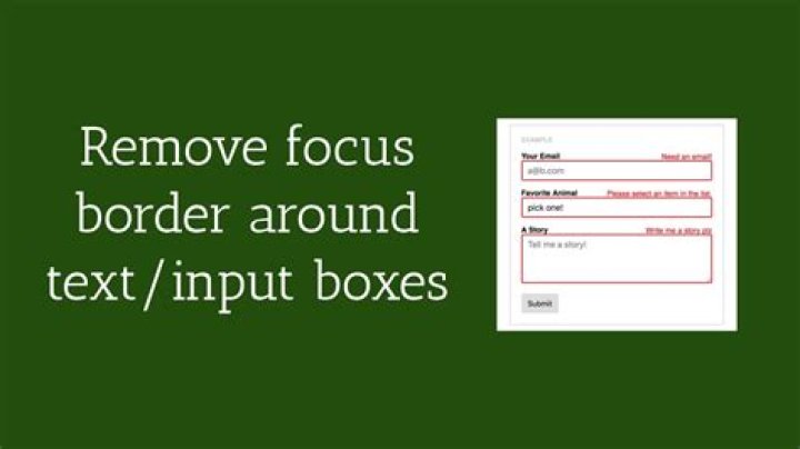 How to remove focus border (outline) around text/input boxes? (Chrome) [duplicate]