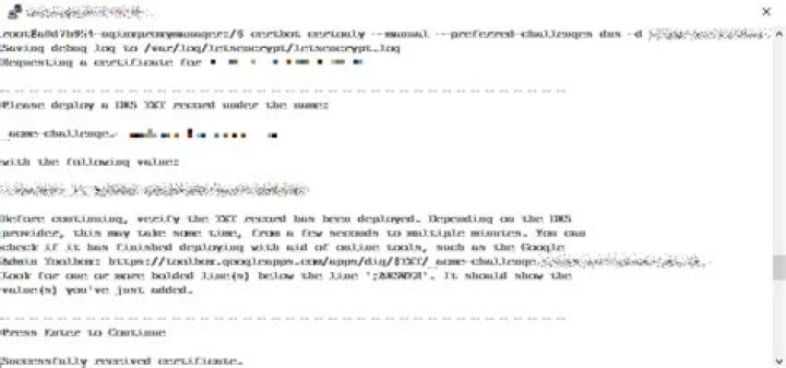 How to renew only one domain with certbot?