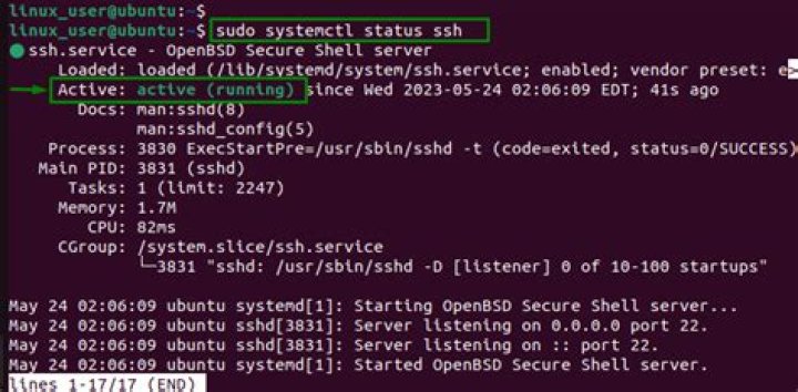 How To Restart Sudo Service in Ubuntu 18+