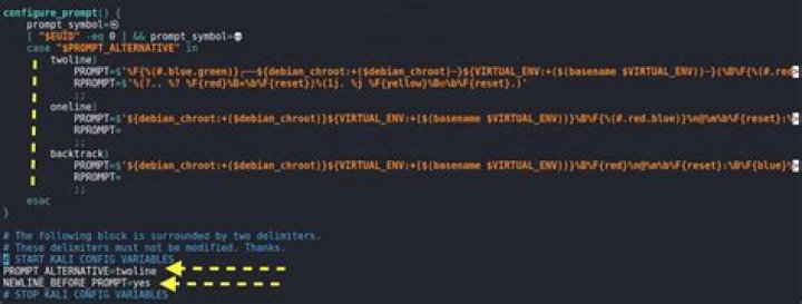 How to revert to one line terminal in new Kali Linux 2020.04