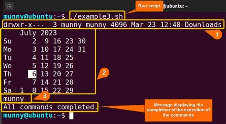 How to run multiple commands in parallel and see output from both?
