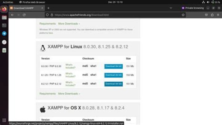 How to run XAMPP Shell in Linux