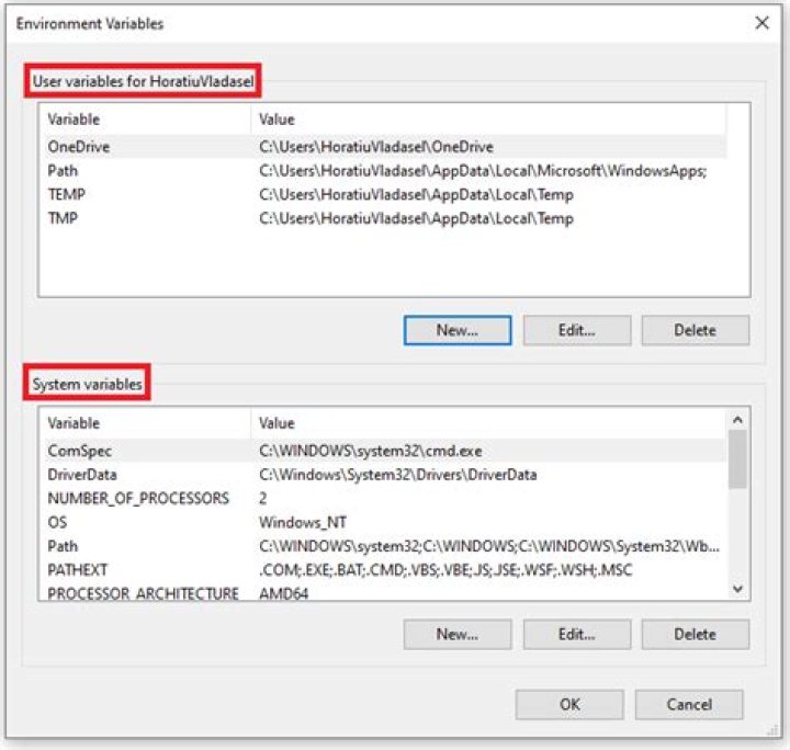 How to set an environment variable when using system() to execute a command?