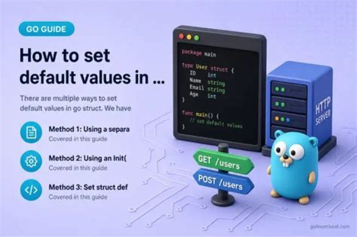 How to set default values in Go structs