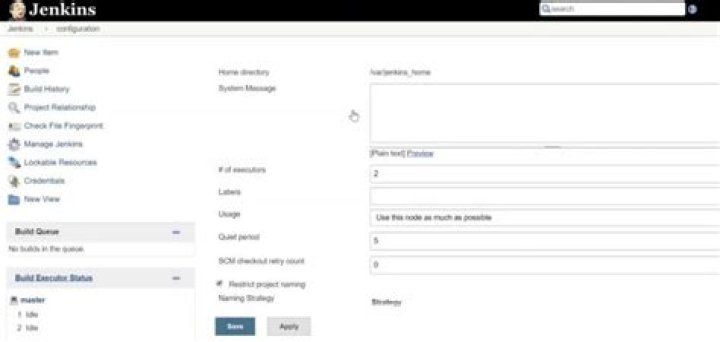 How to set environment variables in Jenkins?