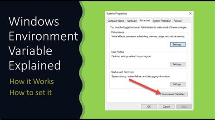 How to set GOPRIVATE environment variable