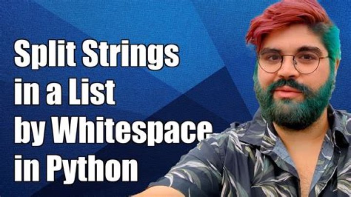 How to split strings inside a list by whitespace characters