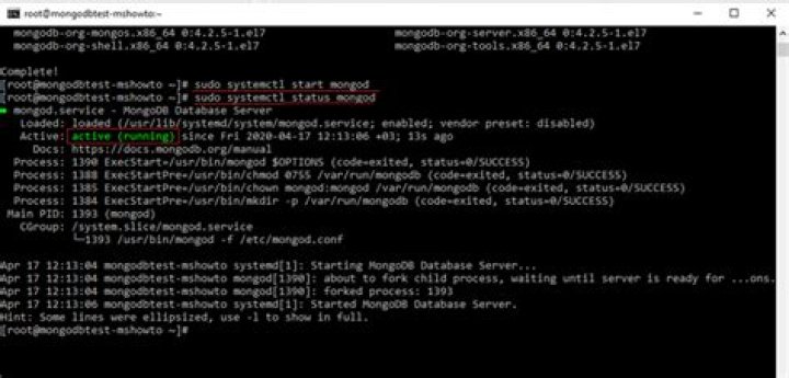 How to start MongoDB server on system start?