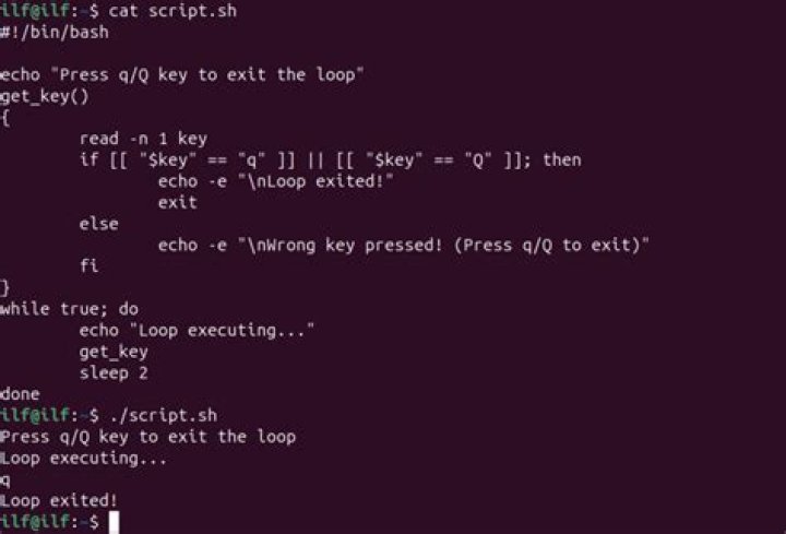 How to stop a bash while loop running in the background?