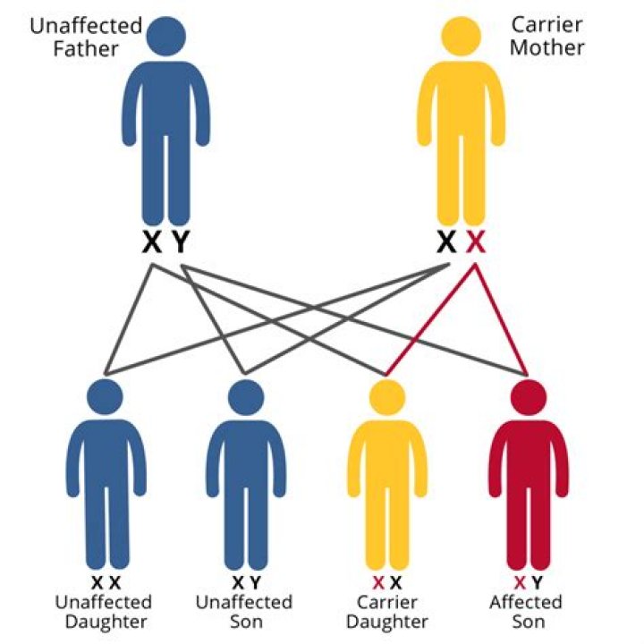 How to understand $E(XY)$ intuitively