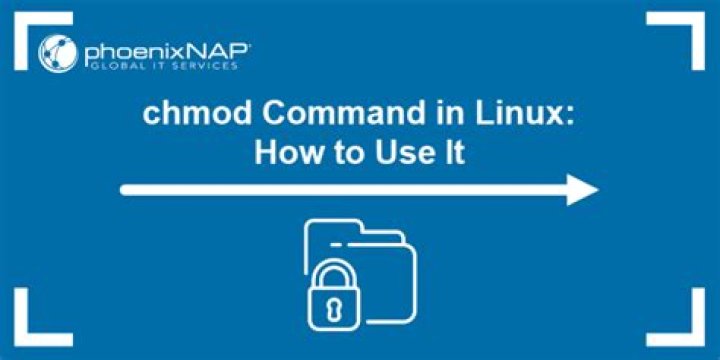 How to use chmod to give a single user from my group permission to my directory?