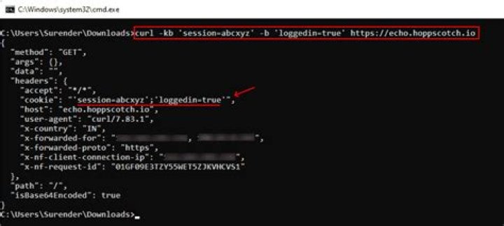 How to use cURL to send Cookies?