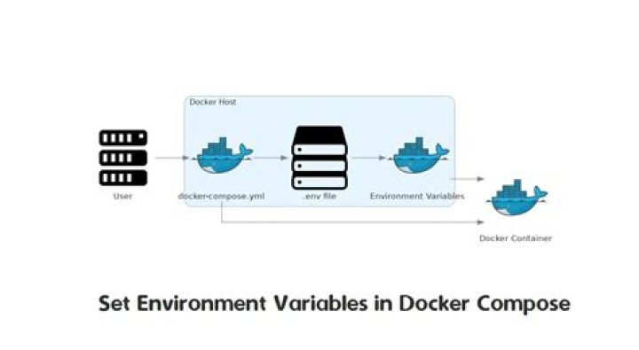 How to use environment variables in docker compose