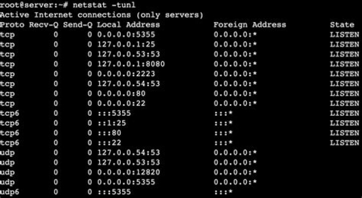 how to use netstat on a specific port in Linux