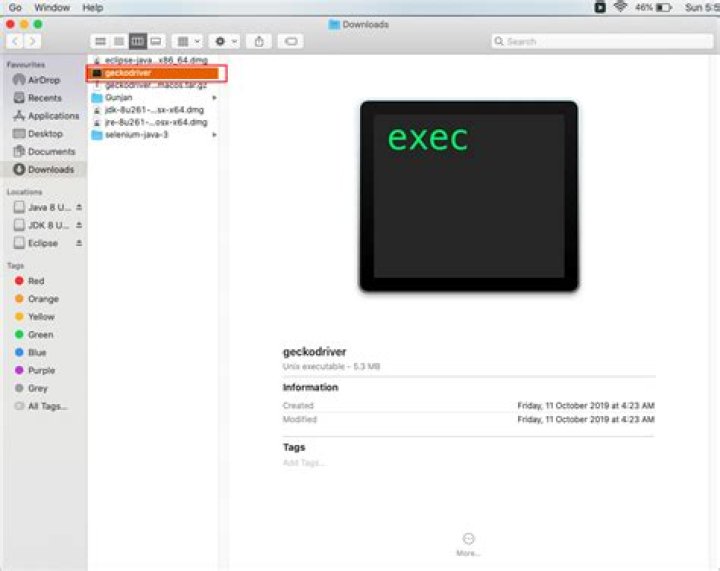 How to use the gecko executable with Selenium
