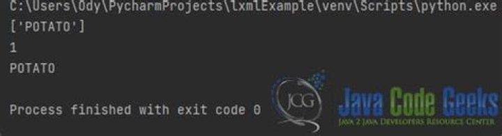How to use XPath in Python?