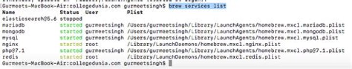 How to verify if nginx is running or not?