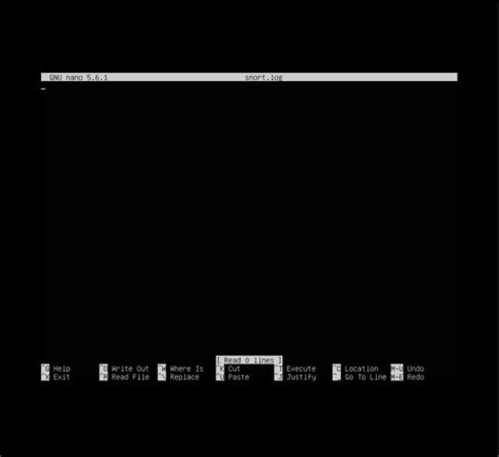 How to view snort log files