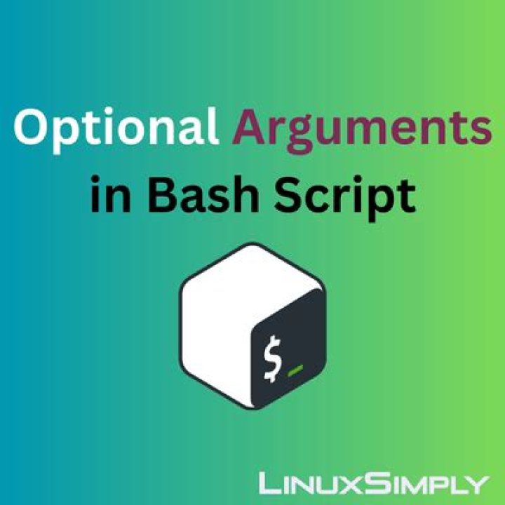How to write a bash script that takes optional input arguments?