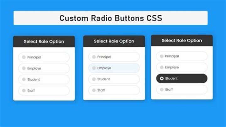 HTML radio buttons will not display side by side